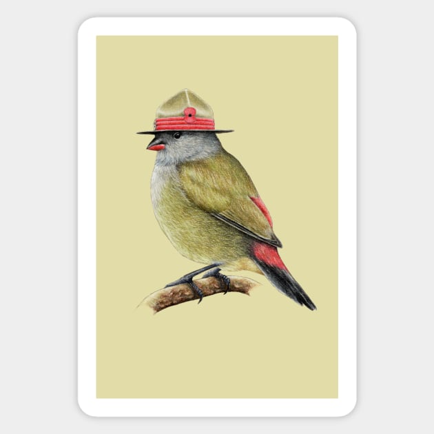 Yellow-bellied waxbill Sticker by Mikhail Vedernikov